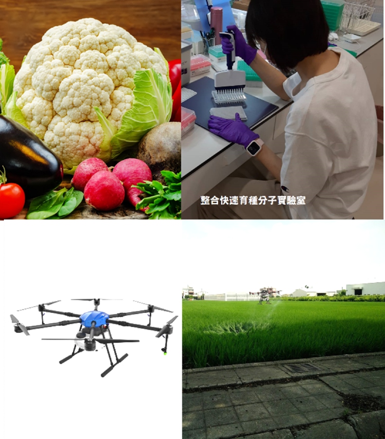 農業試驗所輔導成果：慶農種苗生產優質花椰菜種子(上)、禾斗雲科技核心技術為無人機精準用藥(下)。