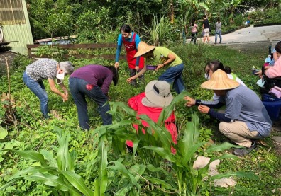 揭密園藝治療師如何為人解憂？在花草叢林間，療癒有心靈傷口的人