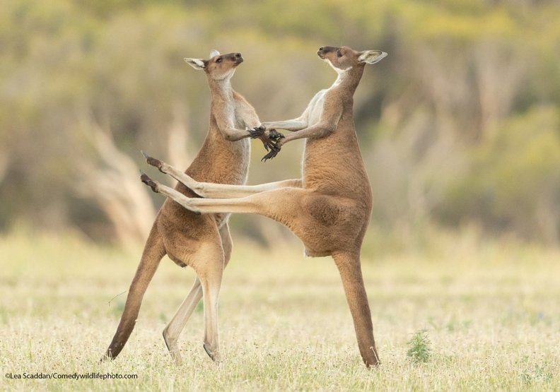 錯過了(Missed)──Lea Scaddan攝