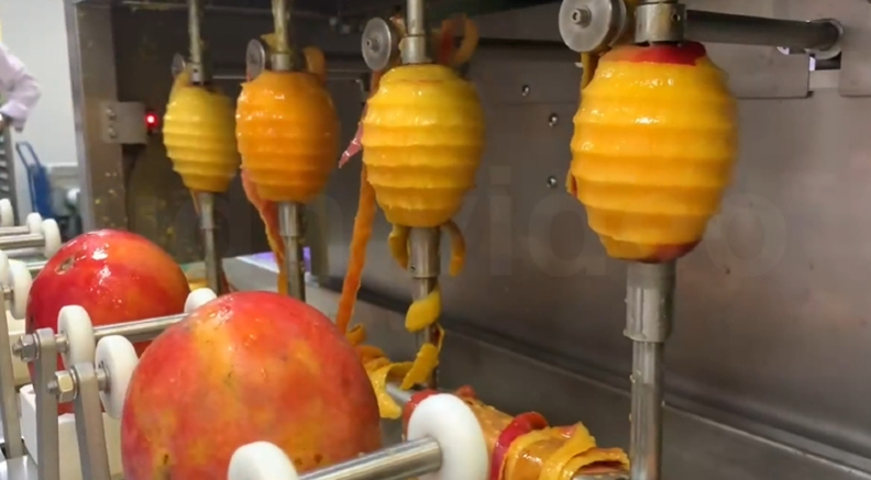 臺南區農業改良場研發之芒果批次自動化削皮製程,提升生產效能與良率。