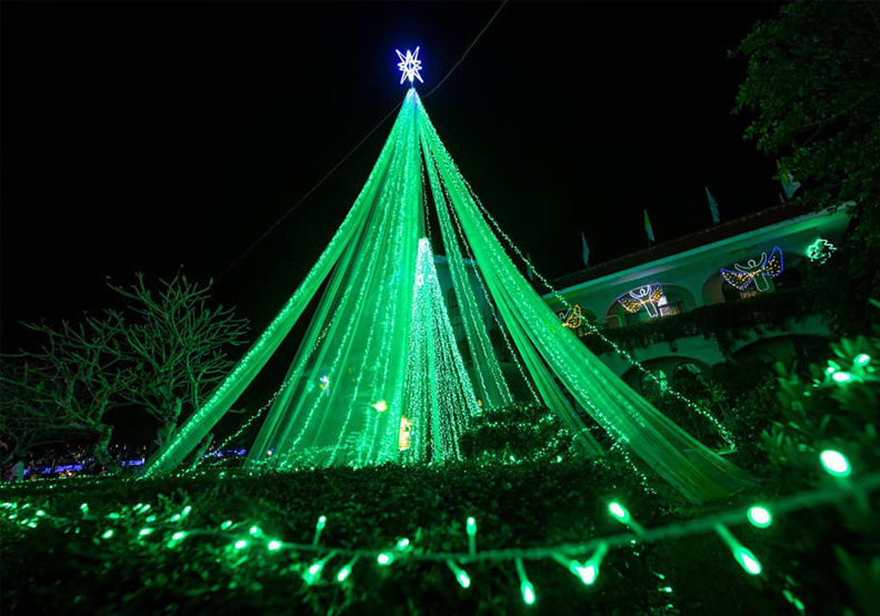 萬金聖母聖殿夢幻聖誕樹。取自潘孟安臉書