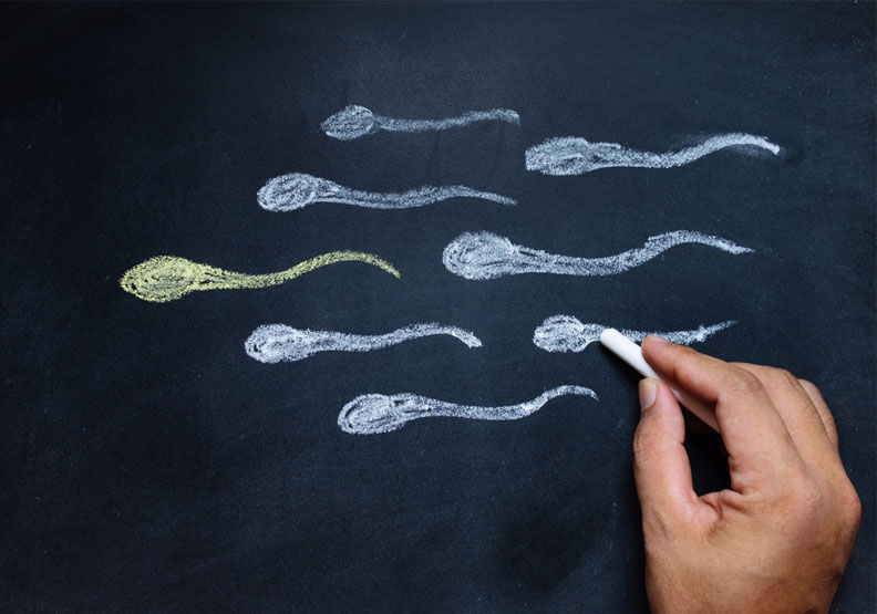 男性不孕症比例有升高趨勢！精蟲品質差，DNA碎片測試助受孕