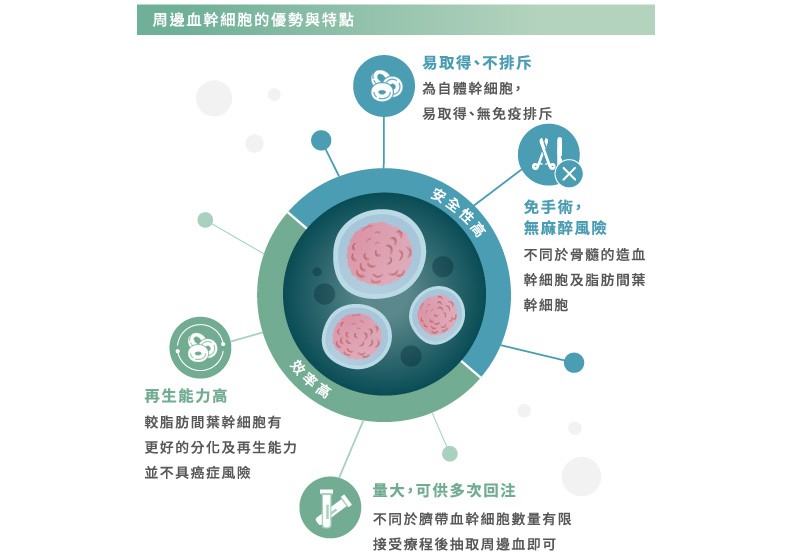 周邊血幹細胞的優勢與特點。