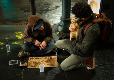 募款時多一句話，捐款金額竟提高70％？世界苦難太多，同理心令人更團結