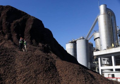 造紙廠變身綠電大戶！百年老店展新局，永豐餘邁向「醣經濟」