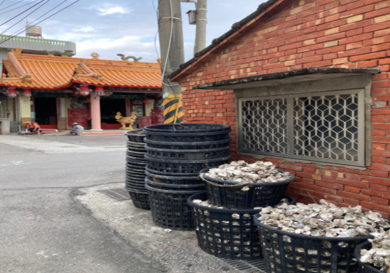 台南北門區永隆溝旁的社區內到處是蚵殼堆。方格子提供。