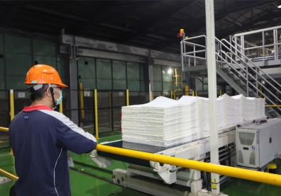 林業失落30年，轉型救了台灣最後一座紙漿廠