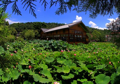 以青蛙為主角 自然物種豐富的生態遊樂園