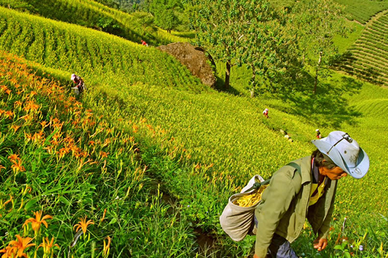 農村轉型的模範生,同心齊力從生態保護及環境教育的角度出發,翻轉蛻變為潛力無限的「金牌農村」。