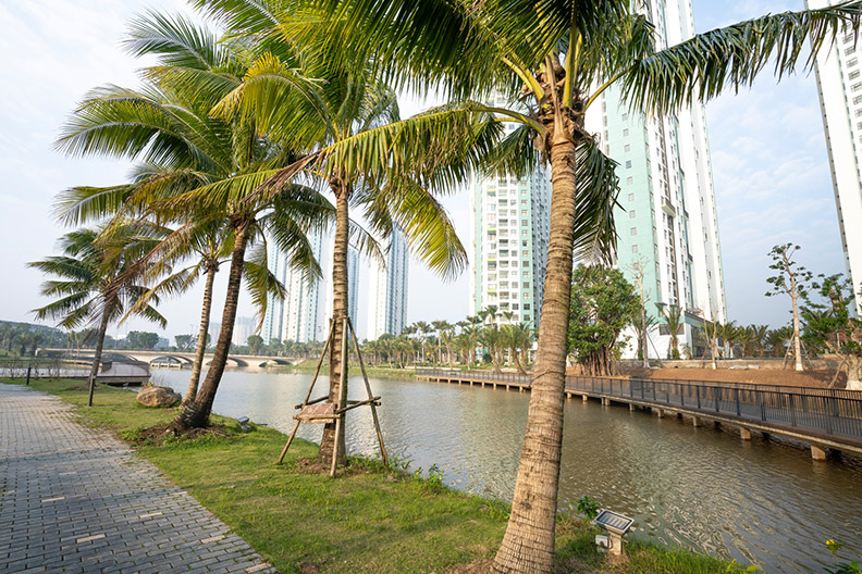 建商口中的公園第一排，有時只是其他建商暫時養的地。僅為情境圖，取自pexels