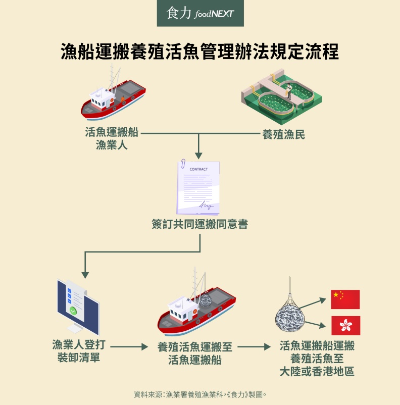 漁船運搬養殖活魚管理辦法規定流程。食力 foodNEXT提供