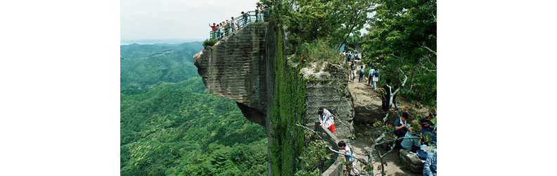 50+FIFTY PLUS。圖片來源:日本觀光局