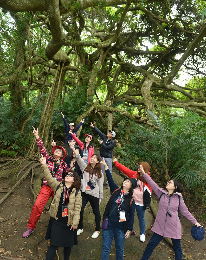 驚人白榕森林,像極了科幻電影《阿凡達》裡的「生命之樹」,樹木雖然不能像人類一樣改變環境,但卻能找到自己所需要的環境,並在那裡生存下去。陳奇宏攝