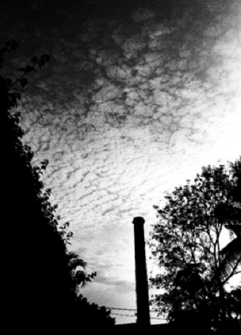 曾被譽為「台灣糖業新高山」的屏東糖廠大煙囪。方格子提供,資料來源邱才彥。