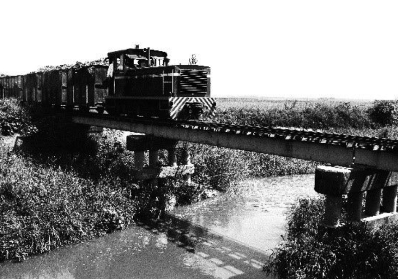 古早糖鐵小火車黑白照片。方格子提供。