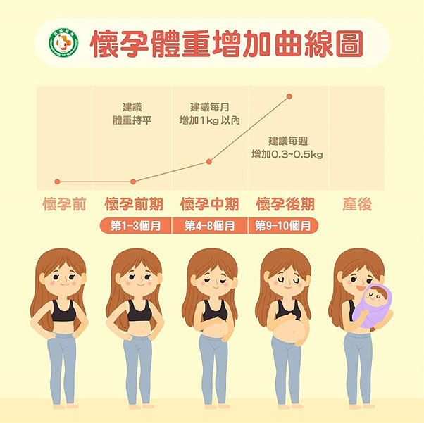 懷孕體重增加曲線圖。茂盛醫院提供
