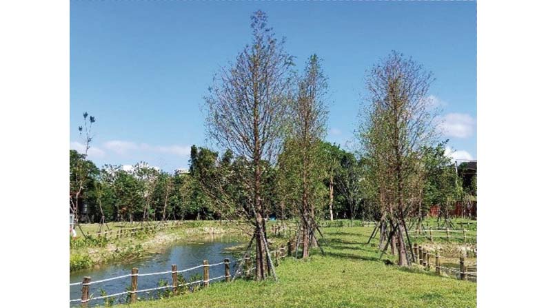 新北市將新北客家文化園區周邊打造全新哈客樂園,戶外景觀工程利用生態砌石法將打造親水河道,河道及湖邊種植櫻花及落羽松,結合防洪防災與生態,讓遊客有休憩好所在。