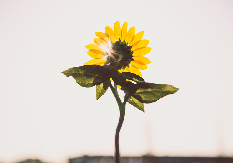 僅為情境圖。取自unsplash