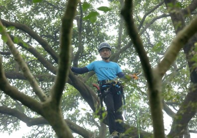 攀樹練習呼吸吐納，以不同高度放眼世界