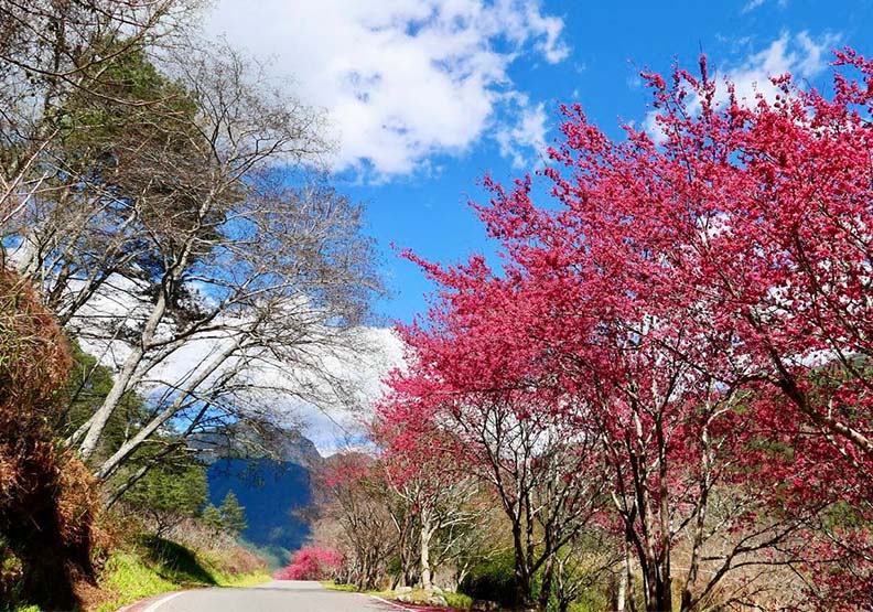 取自武陵農場FB。