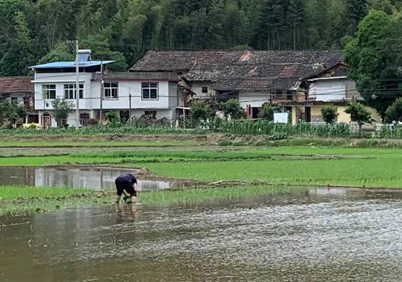 圖／仙遊縣鍾山鎮南興村村民日常。福建橙翔文化旅遊發展有限公司提供