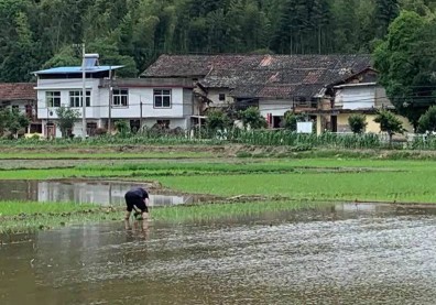 亞洲創生〉用台灣人的視角，把農村的日常變成文化產業