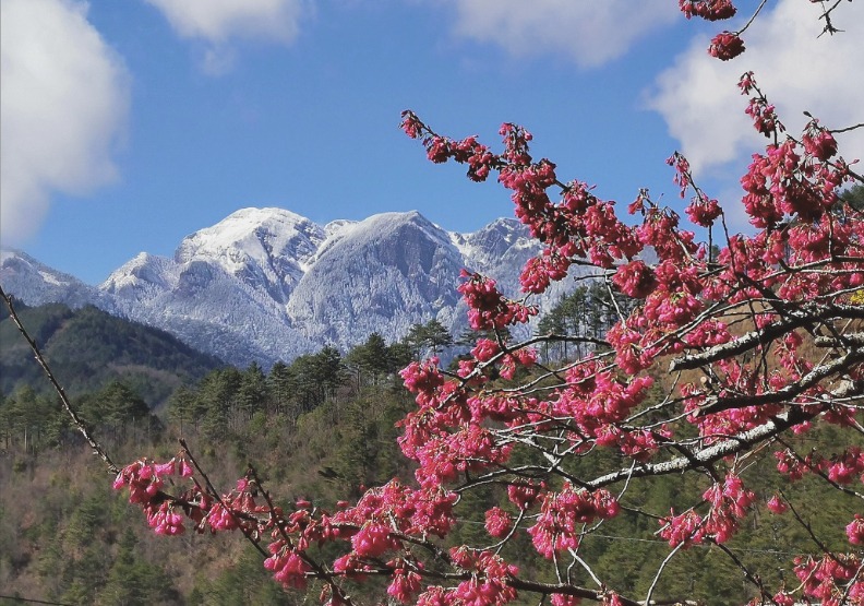 春節限定「不虎你8美景」全台國家公園走春趣，北歐仙境慶新年