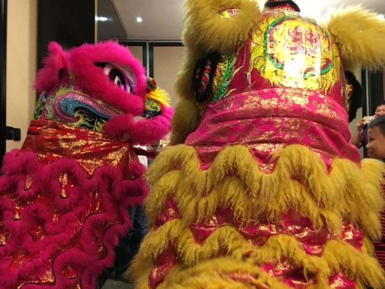 年節期間,舞進中餐廳內的舞獅。圖片由賴珩佳提供