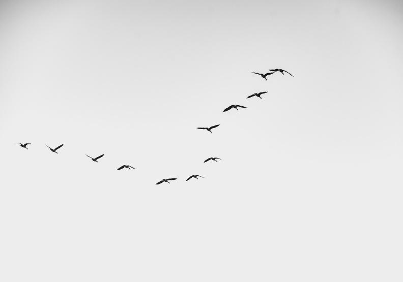 僅為情境配圖。圖片來自unsplash