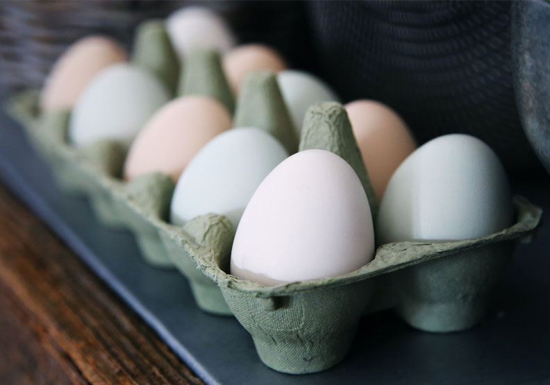 蛋價明起再漲2元！營養師：蛋白質來源不是「非蛋不可」，這樣做聰明替換