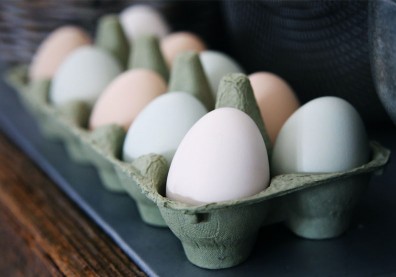 全台鬧雞蛋荒！營養師：蛋白質來源不是「非蛋不可」，這樣做聰明替換