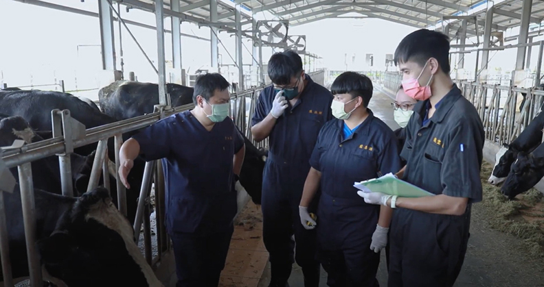 李旭薰博士帶領團隊進駐乳牛牧場觀察及評估，找出可改善之處。