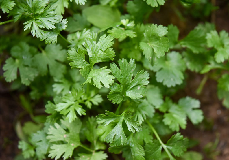 Unsplash by Chandan Chaurasia