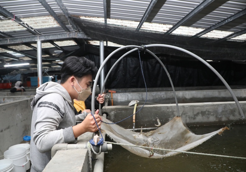 現代水產養殖人才除掌握傳統養殖能力，也可掌握行銷、數位工具等，成為跨域人才。圖為屏東科技大學，蘇義傑攝