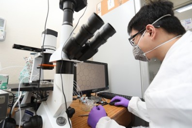 半導體、量子計算掀熱潮，帶動基礎科學前景