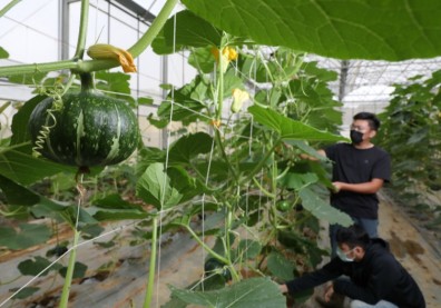 因應餐飲習慣變遷，職人把關更關鍵