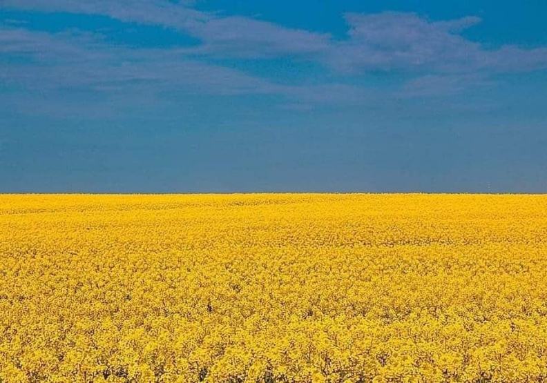 烏克蘭風景照。圖片來自丘美珍臉書