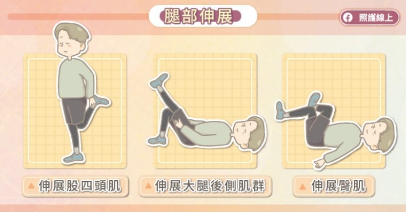 腿部伸展。取自照護線上