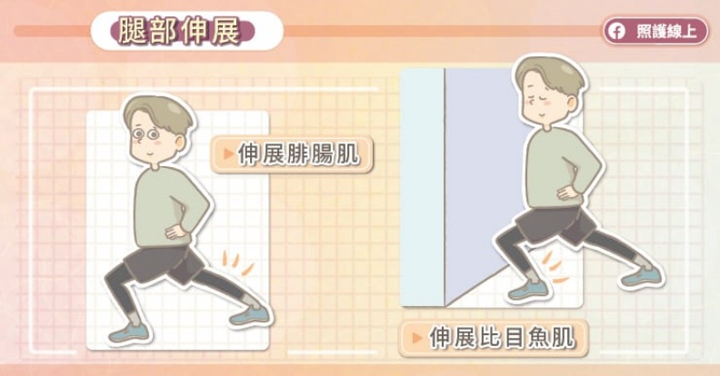 腿部伸展。取自照護線上