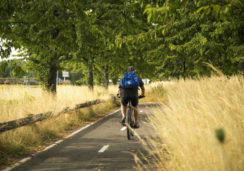 年輕人剛開始運動很痛苦,但習慣之後就會上癮了,僅為情境配圖。圖片來自pixabay