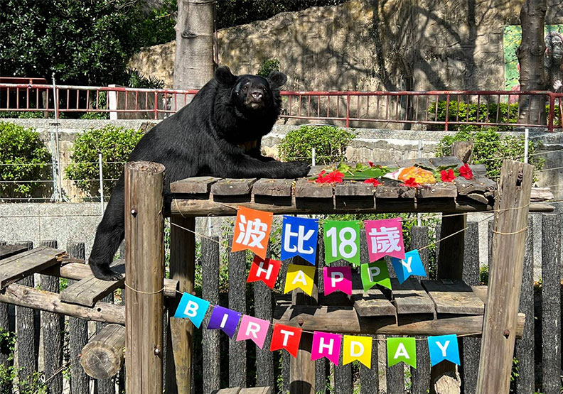 圖／波比歡慶18歲生日。高雄市政府觀光局提供