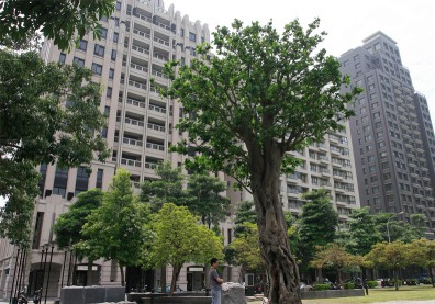 台中投資客大出逃？預售屋交易腰斬、35%轉售
