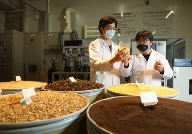 備戰全球淨零碳排賽局！企業新標配：永續長