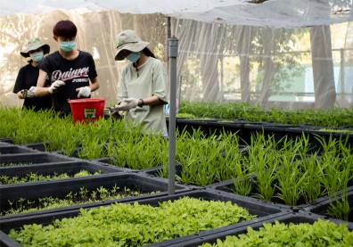 2022第三屆《遠見》USR獎揭曉！成大創單一學校獲獎最多紀錄