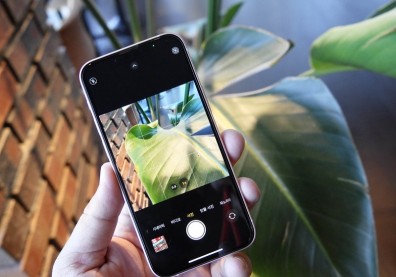 超美！微觀照片用iPhone13 Pro拍，微距攝影化平凡為非凡