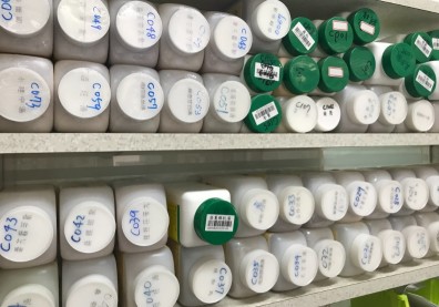 確診飆升，輔助醫學欲登場加入抗疫，台灣輔助醫學元年到來？