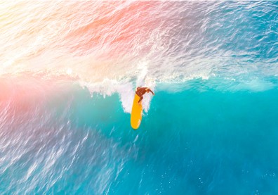 全球股市波動加劇之際，掌握四大機會破浪再創新局