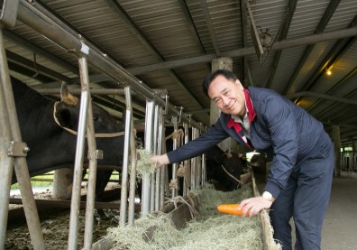 台灣頂級和牛誕生！90年前意外保種，李登輝「源興牛」上桌