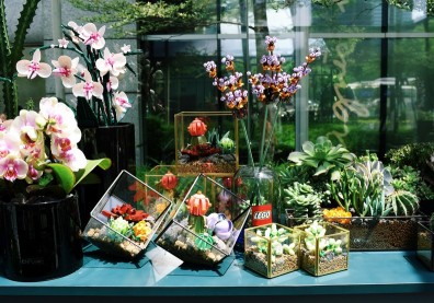 樂高也吹綠植風！永遠不用澆水的盆栽，有什麼誘人的魅力？