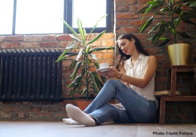 植物總是種不活？這3家公司不僅讓你成為園藝大師，還能自己種新鮮蔬菜、聽植物唱歌！